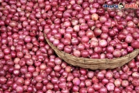 Onions rate down to three hundred rupees per quintal