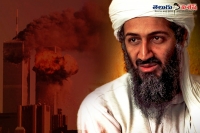 Osama bin laden got 9 11 terror attacks idea from egyptair crash