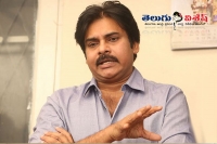 Pawan kalyan concentrate on telangana politics