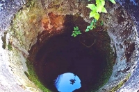 5 people landed in the well to save the calf all died the calf survived