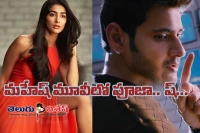 Pooja hegde not yet confirmed mahesh movie