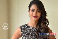 Pooja hegde with tollywood biggies