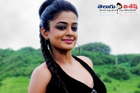 Priyamani clarifies on her love affair
