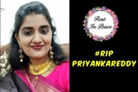 Rip priyanka reddy tollywood mourns veterinary doctor s murder