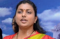 Ycp mla roja slams tdp government