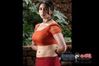 Richa gangopadhyay comments on tollywood