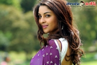 Actress richa gangopadhyay got michigan india award