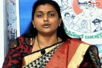 Roja said chandrababu naidu must answer about allegations