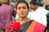 Chief minister means call money