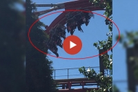 Roller coaster suddenly stop in middle air