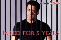 Salman khan gets five year jail