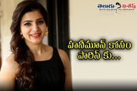 Samantha reaction on marriage and honeymoon in twitter