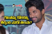 Sarrainodu success meet