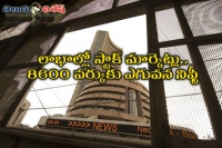 Sensex ends two day losing spree led by gains
