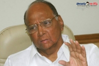 Sharad pawar on why sonia gandhi didn t want him as prime minister