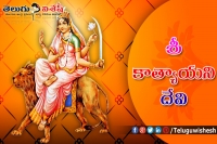 Saranavaratrulu durgamma as shri katyayani devi