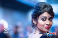 Actress shriya wedding details