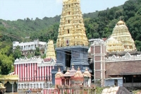 Dadi devi to fight legally on her removal from simhachalam temple trust board member