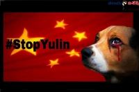 Social media declare war aganist to the china dog meat festival