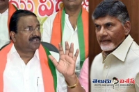 Somu veerraju comments on chandrababu