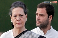 Sonia gandhi rahul gandhi should apologise after david headley s disclosure