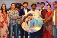 Speedunnodu audio launched