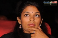 Mega star chiranjeevis second daughter sreeja wedding venue may fix