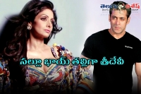 Sridevi to star in salman khan s next