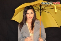 Sunny leone tops most desirable women list