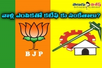 Tdp and bjp announced their rajyasabha candidates