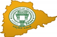 Telangana govt need some more time