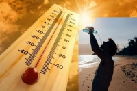 Telangana dgp urges everyone to stay indoors as temperatures soar