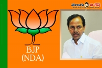 Telangana government to be part in nda government