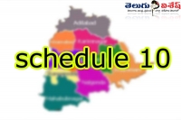 Telangana state govt conformed that the institutions in the tenth schedule belongs to telangana
