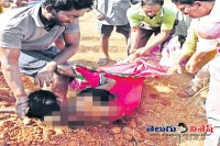 Tdp leaders ripped woman clothes in vizag