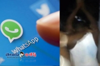 Whatsapp rumours led to killed 7 people