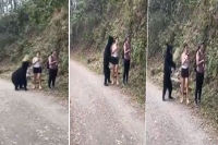 Wild black bear posing for selfie with girl goes viral netizens shocked