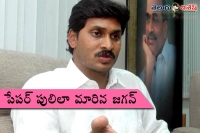 Ys jagan like a paper tiger