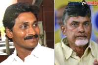 Ysjagan and ysrcongress party leaders celebrating the anniversary of chandrababu naidu