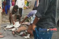 Fatal accident in chittoor killed 20 people