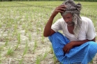 Waiving of farmer loans who is benefiting who is not