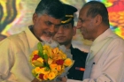 Telangana tdp leaders fires on governor narasimhan