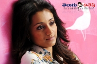 Trisha in special chabbis south remake film