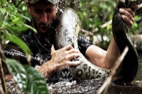 Nj naturalist paul rosolie becomes lunch for anaconda in discovery special