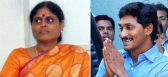 Ys jaganmohan reddy and vijayamma resign to mp mla