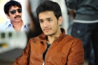 Srinu vaitla to direct akhil akkineni first film