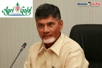 Ap govt decided to give agri gold case to cbi
