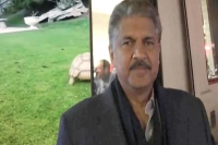 Anand mahindra talks about friendship by sharing video of turtle helping another