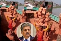 No one should have to do such risky manual labour anand mahindra