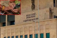 Ap high court gives green signal to municipal elections dismisses 16 petitions